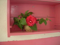 DSCN4119.JPG