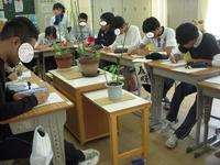 DSCN4123.JPG
