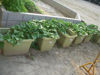 DSCN4133.JPG