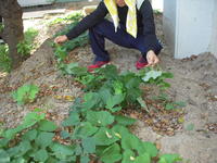 DSCN4144.JPG