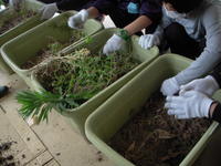 DSCN4152.JPG