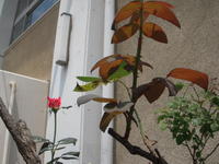 DSCN4159.JPG