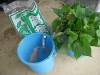 DSCN4163.JPG