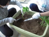 DSCN4170.JPG