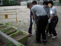 DSCN4175.JPG