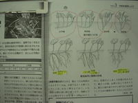 DSCN4176.JPG