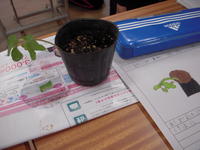 DSCN4187.JPG