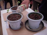 DSCN4192.JPG