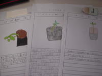 DSCN4193.JPG