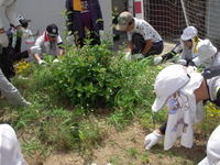 DSCN4207.JPG