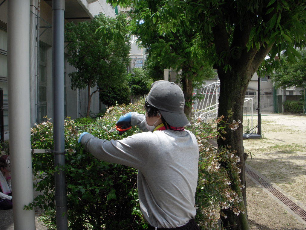 DSCN4215.JPG