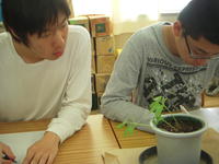 DSCN4227.JPG