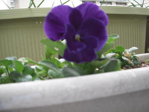 DSCN4675.JPG