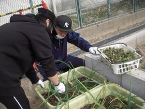 DSCN4679.JPG