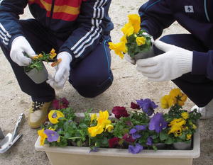 DSCN4692.JPG