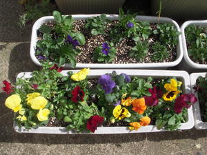 DSCN4693.JPG