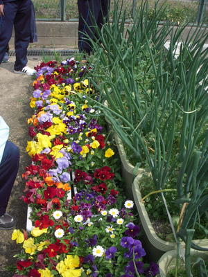 DSCN4721.JPG