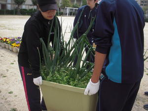 DSCN4722.JPG