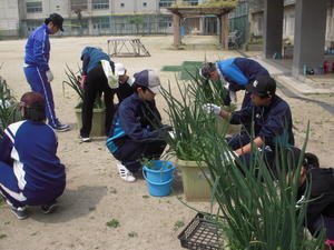 DSCN4724.JPG