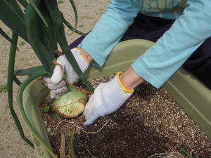 DSCN4729.JPG
