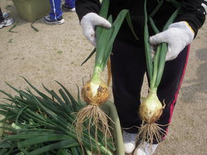 DSCN4733.JPG