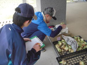 DSCN4739.JPG