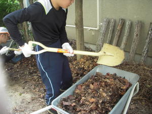 DSCN4753.JPG