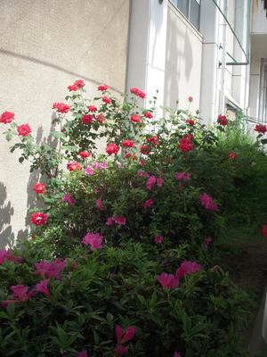 DSCN4755.JPG
