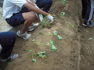 DSCN4774.JPG