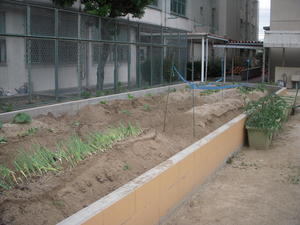 DSCN4778.JPG