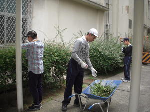 DSCN4779.JPG