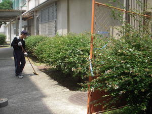 DSCN4782.JPG