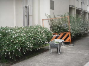 DSCN4798.JPG