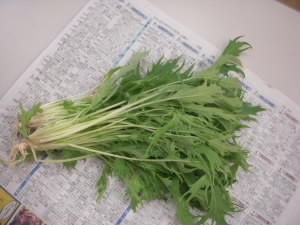 DSCN4801.JPG