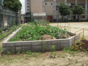 DSCN4807.JPG