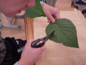 DSCN4808.JPG