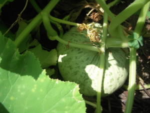 DSCN4814.JPG