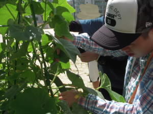 DSCN4820.JPG