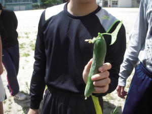 DSCN4827.JPG