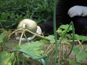 DSCN4846.JPG