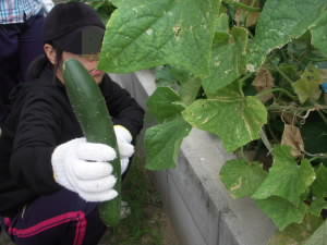 DSCN4849.JPG