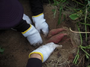 DSCN4853.JPG