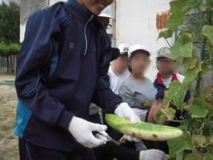 DSCN4858.JPG