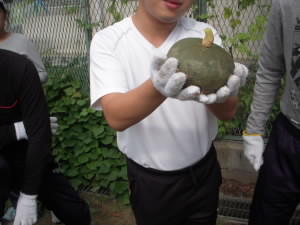 DSCN4862.JPG