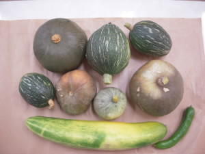 DSCN4864.JPG