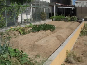 DSCN4869.JPG