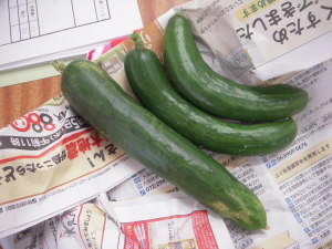 DSCN4874.JPG