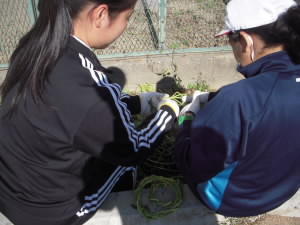 DSCN4889.JPG