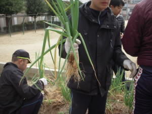 DSCN4922.JPG