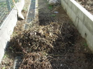 DSCN4957.JPG